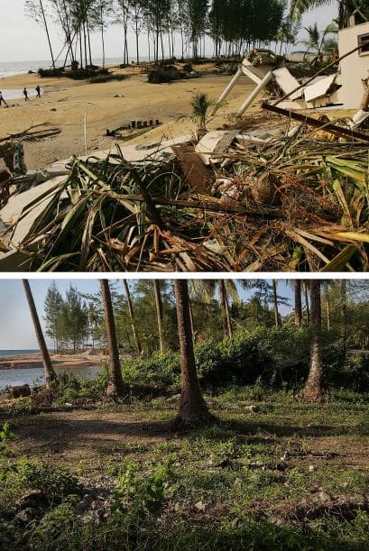 Escombros ensucian la playa en el Theptharo Resort, donde muchos turistas murieron cuando sus bungalows de lujo fueron arrastrados por el tsunami. Diez años después, esa misma playa actualmente se observa el crecimiento de bosque.