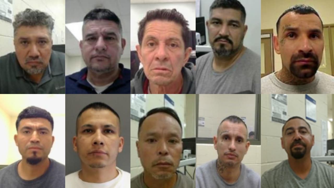 Operativos en Houston: ICE reporta la captura de más de 700 personas con historial criminal en mayo