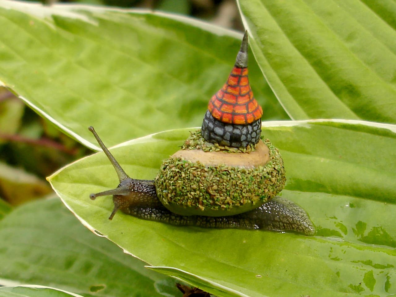 Los detalles en las conchas los hizo con mondadientes, también conocidos como palillos.