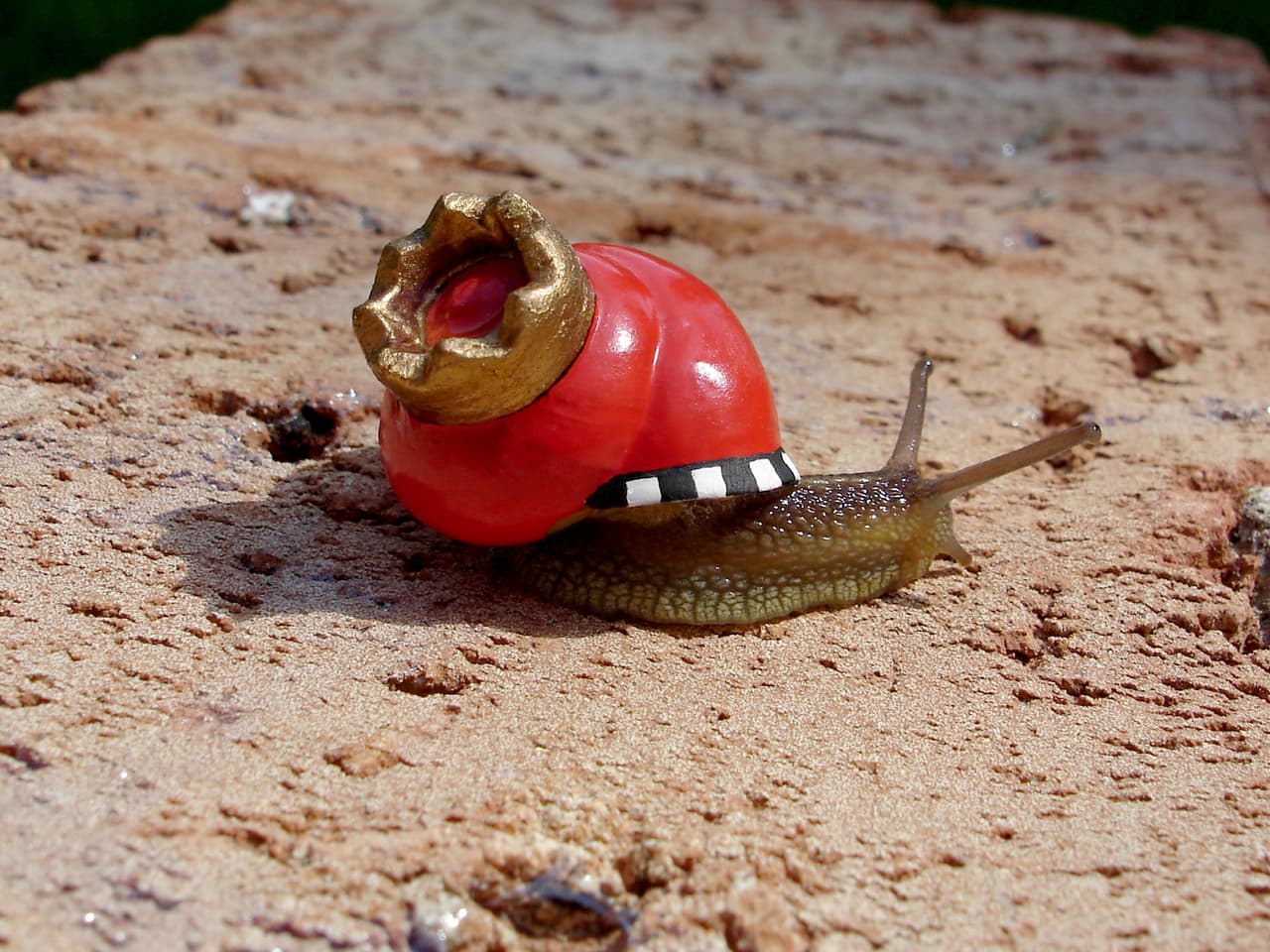 Stefan es un gran amante de los animales.