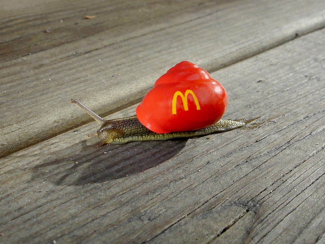 Así que al artista se le ocurrió una manera de hacer que fueran más llamativos.