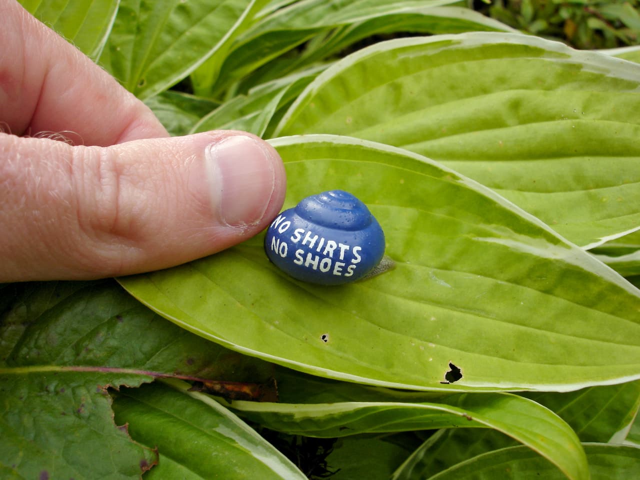 Horas y horas ha pasado creando estas minúsculas obras de arte.