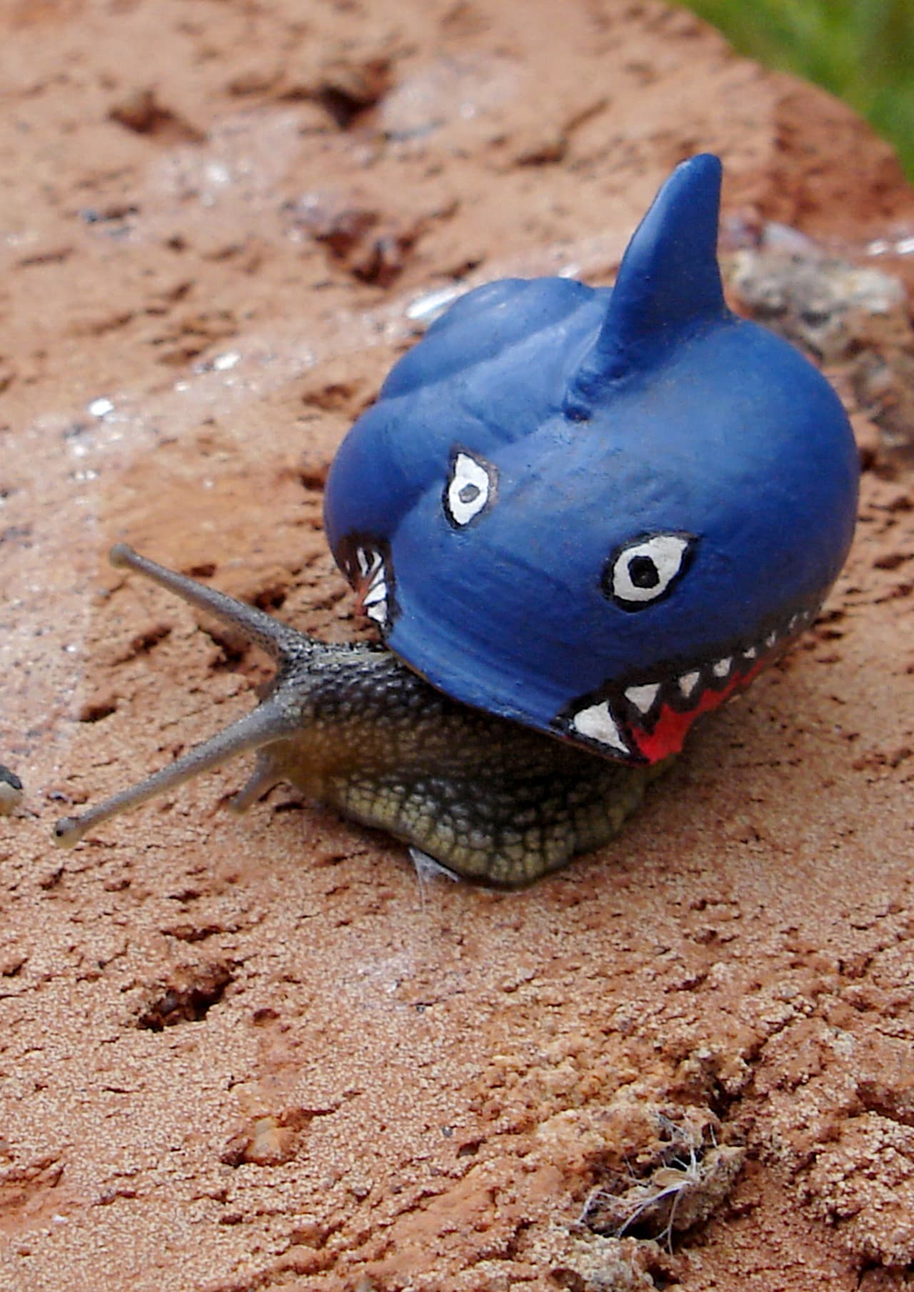 “Me encontré sin trabajo en el verano y pronto ya no tenía que hacer”, admitió.