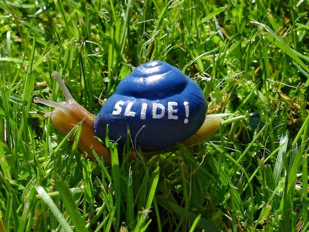 El sueco ha pintado más de 70 pequeñas criaturas.