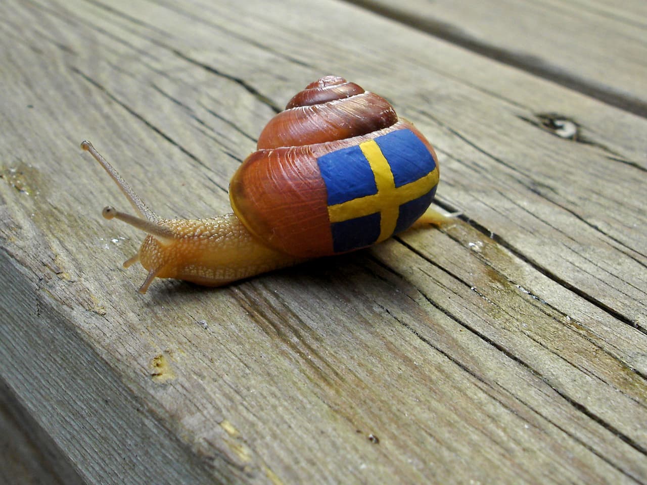 ¡Pero no lo hizo sólo porque se le ocurrió!