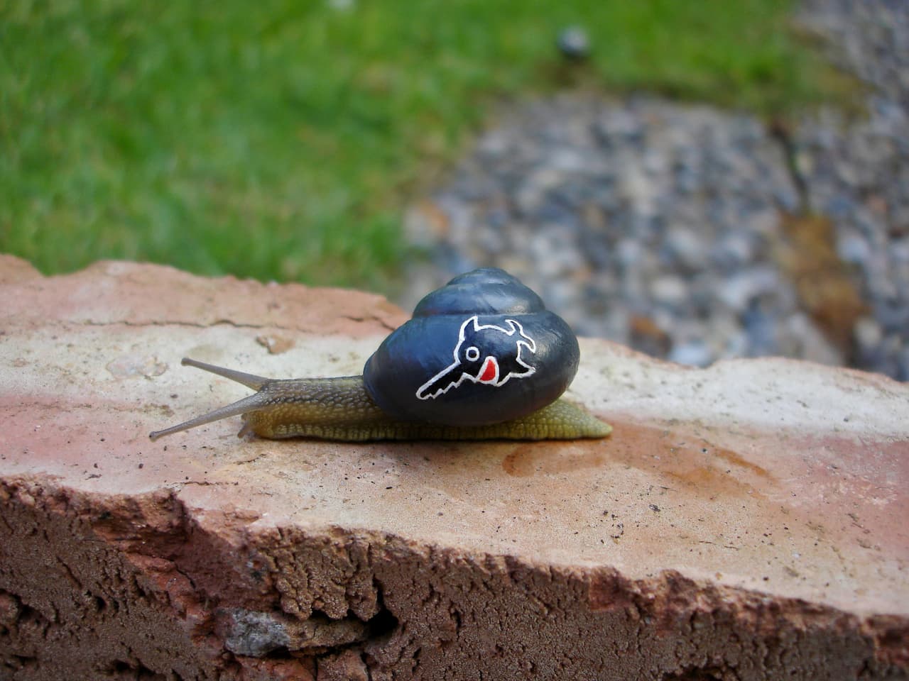 Son muy pequeños y muchas veces suelen pasar desapercibidos.