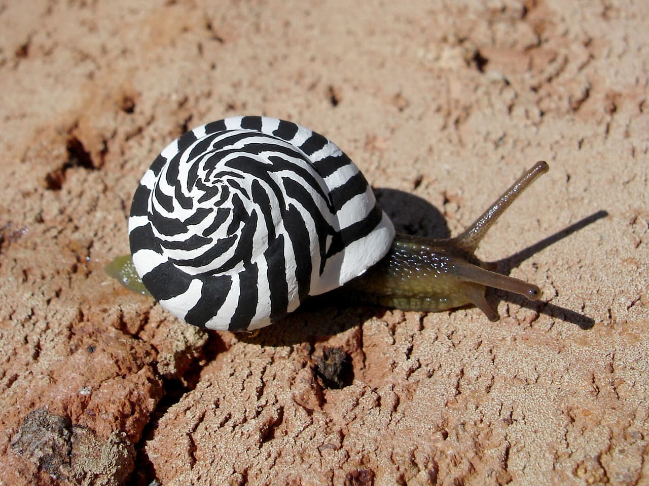 Él ha creado desde faros, coronas y logos de compañías en sus diseños.
