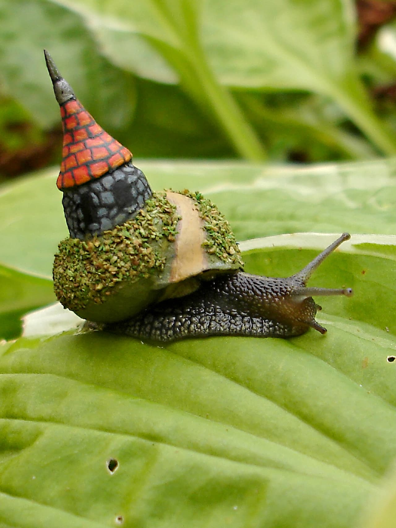 Un artista sueco decoró de la manera más ocurrente a estos animales.