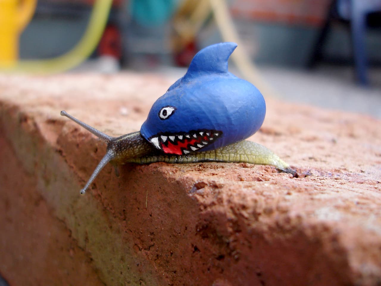 Estaba preocupado por la visibilidad de estos animalitos.