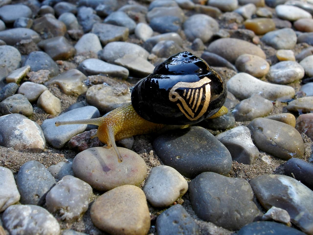 Stefan Siverud es quien realizó estas increíbles decoraciones.