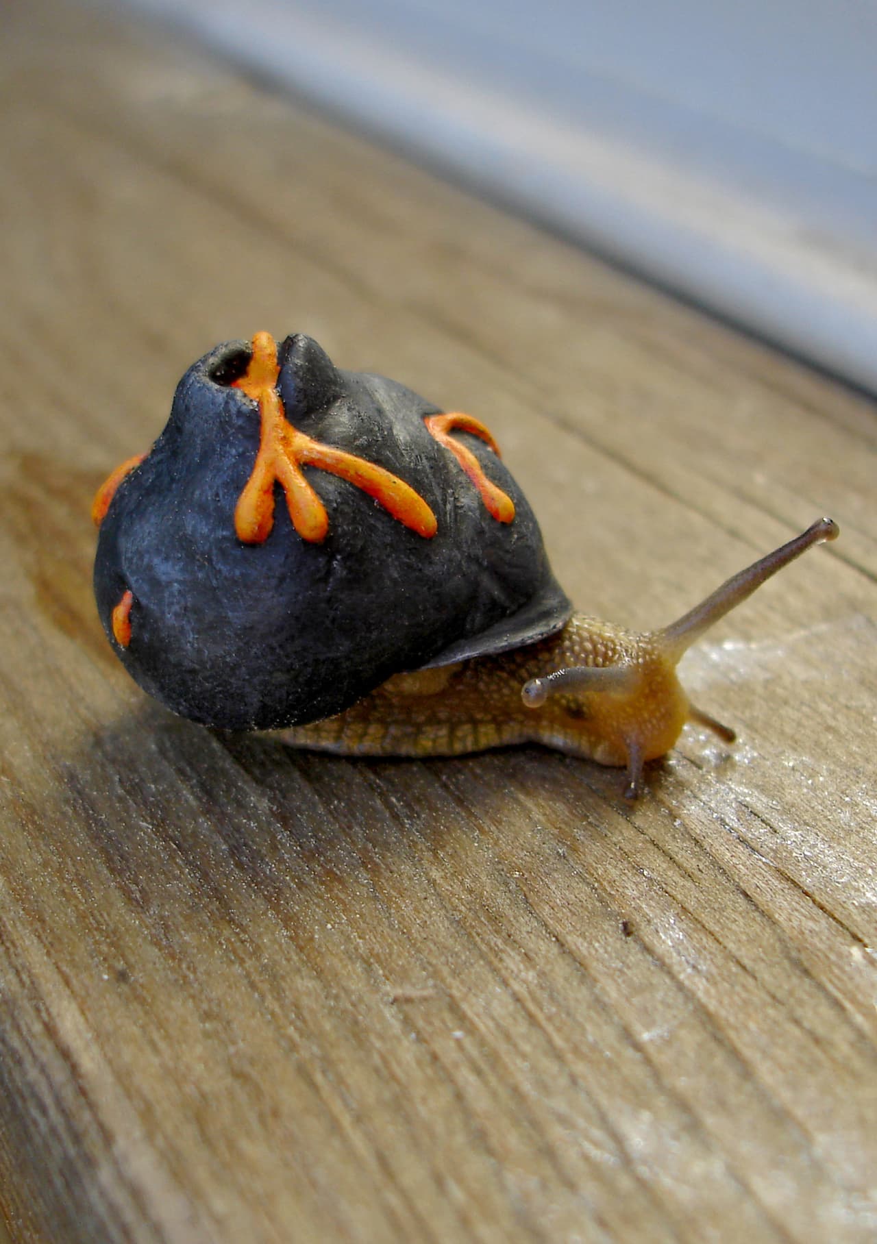 ¡Creó una galería que se mueve!