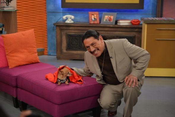 Dany Trejo es rudo en el cine pero con Honey resultó de lo más amoroso.