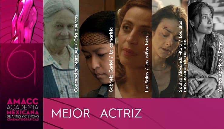 Y Yalitza recibió la nominación a Mejor Actriz por su actuación en 'Roma', junto a Concepción Márquez ('Cría puercos'), Gabriela Cartol ('La camarista'), Ilse Salas ('Las niñas bien') y Sophie Alexander-Katz ('Los días más oscuros de nosotras').