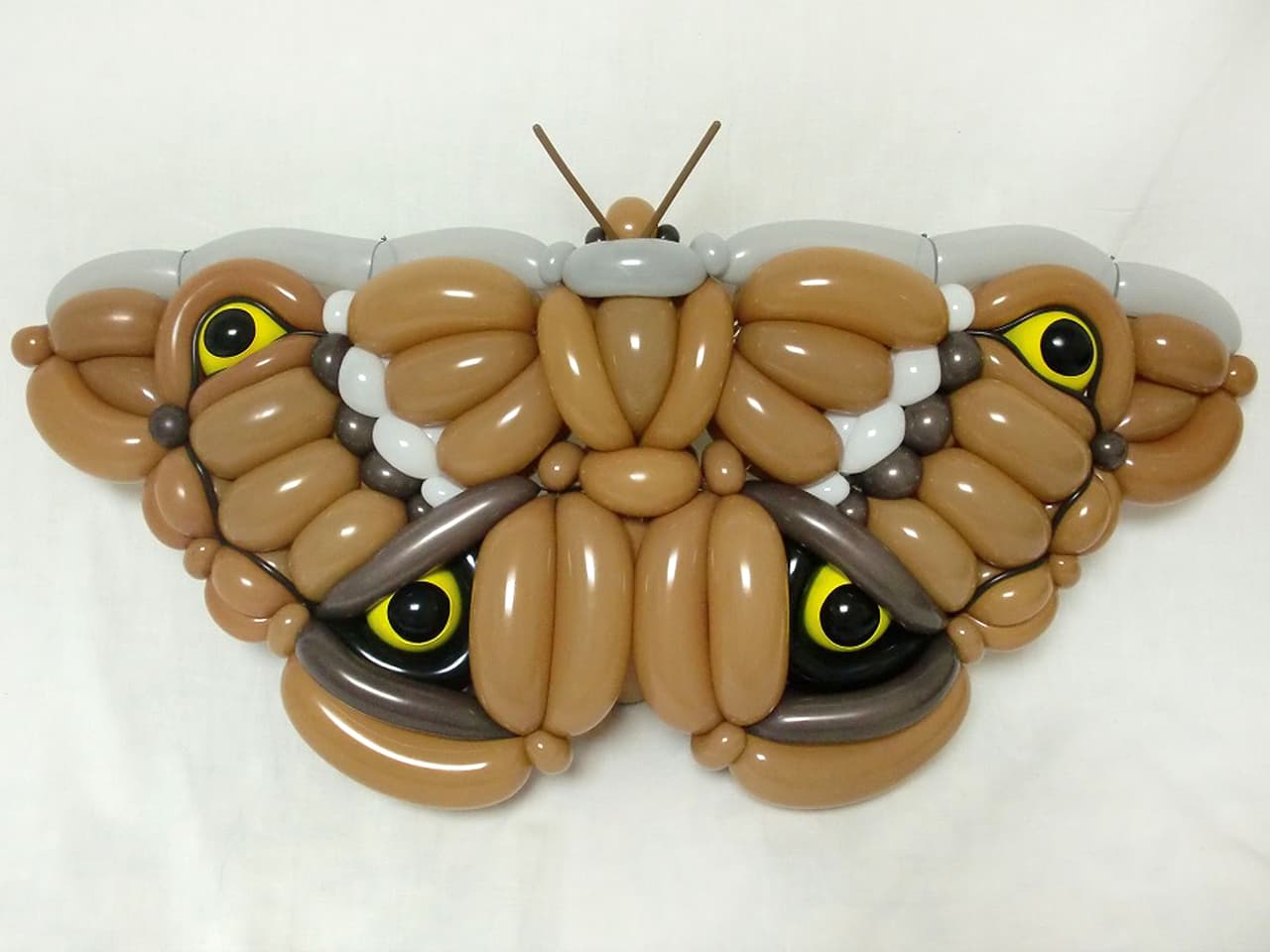 Hacen animales con globos