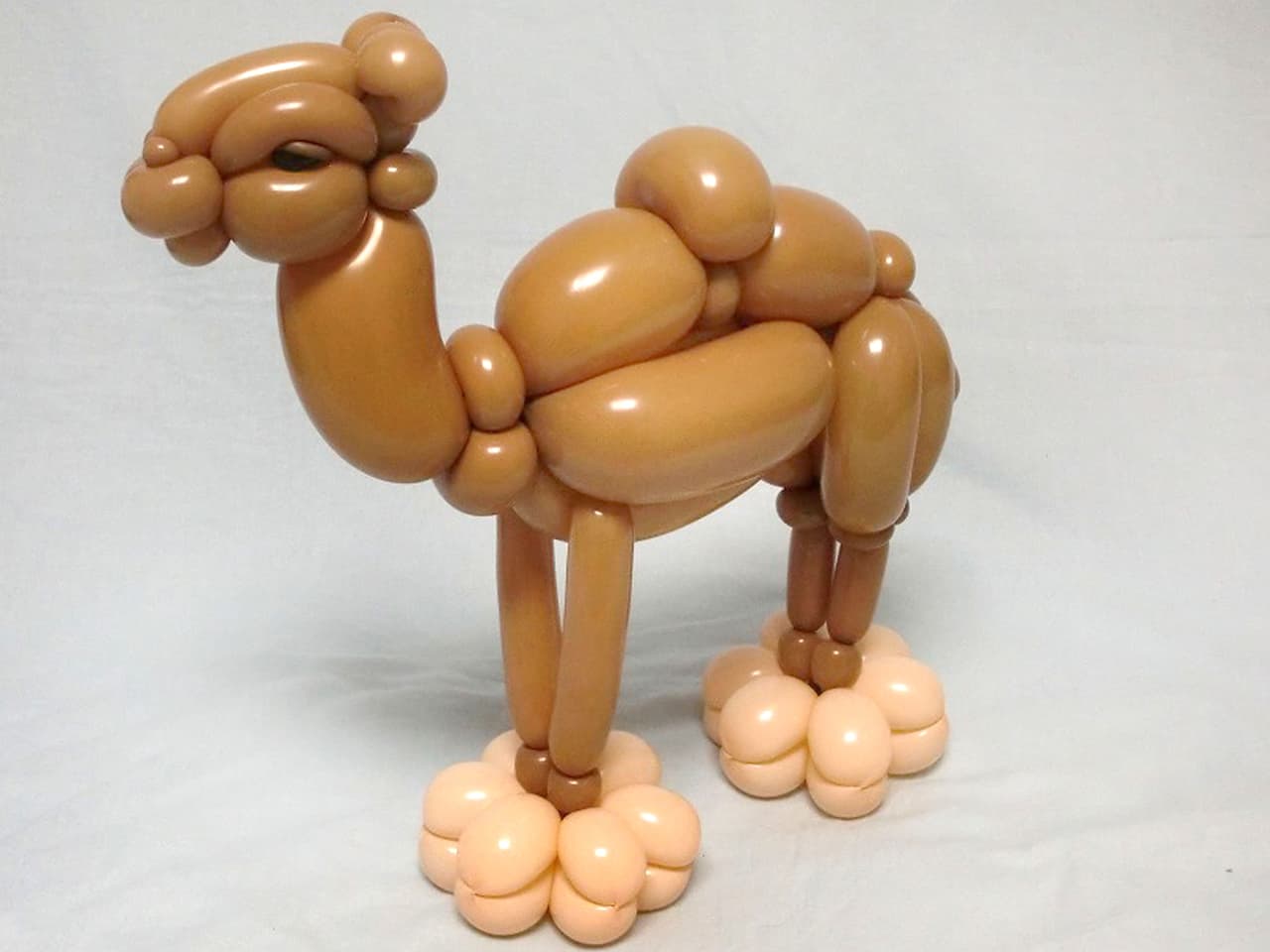 Hacen animales con globos