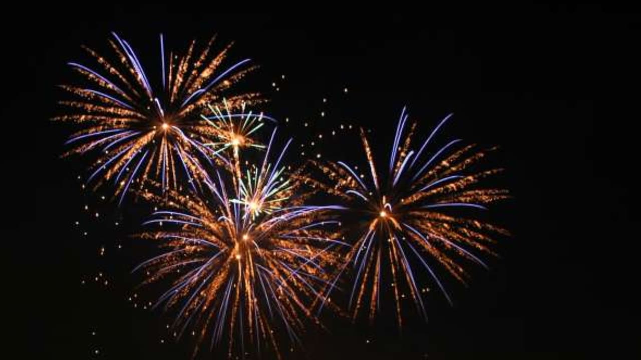 Festejo de 4 de julio en la Ciudad de Deer Park.
<br>203 Ivy Avenue. Suite 700 en Deer Park, TX 77536.
<br>De 5:00 a 10:15 pm.
<br>Entrada gratis.
<br>