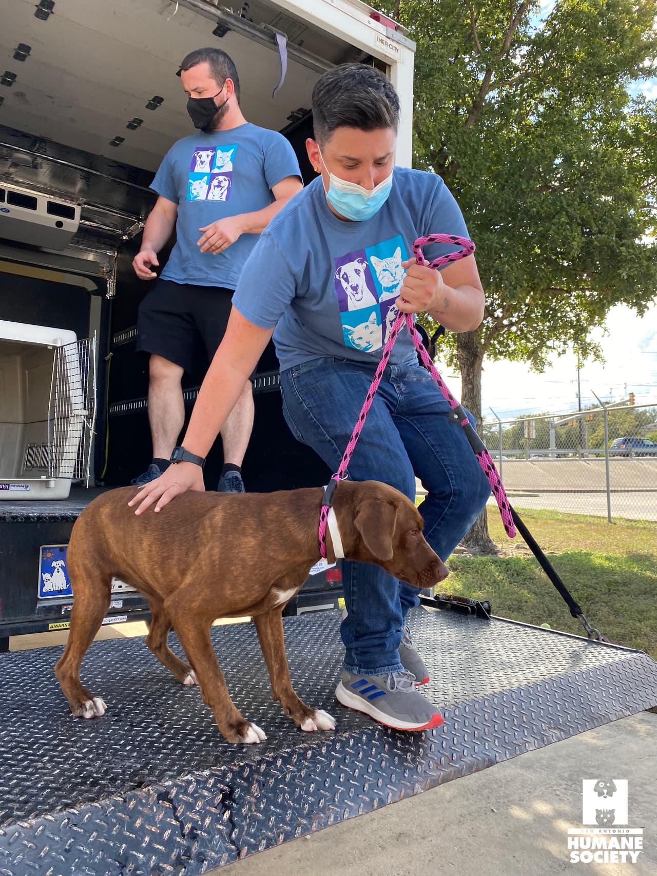 La Sociedad Protectora de Animales de San Antonio recibió a casi 90 gatos y perros para ayudar a los refugios a lo largo de la costa del Golfo antes del huracán Laura.