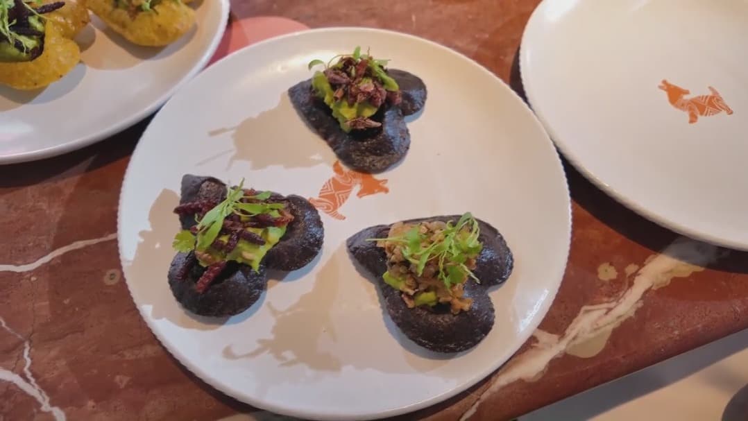 San Valentín exótico: Comida mexicana para enamorar; tortillas, insectos y mezcal