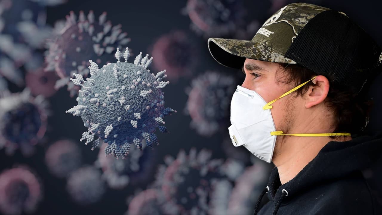 Los envíos comenzarán esta semana y se espera que lleguen a sus destinos a fines de la próxima semana, antes de estar "totalmente en funcionamiento" a principios de febrero.