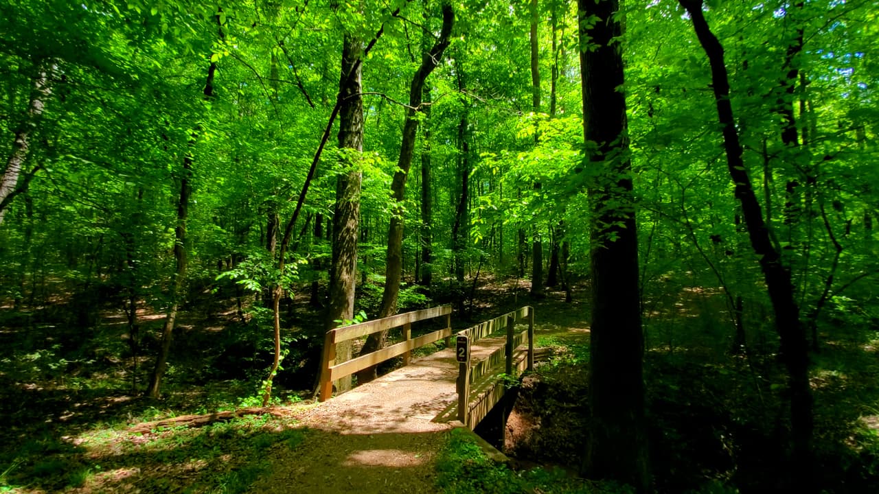 El parque también cuenta con 7 millas de senderos para explorar a pie, 5 para hacerlo en bicicleta y 14 para andar a caballo.