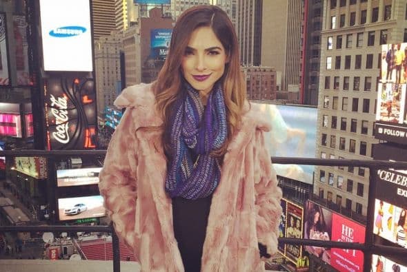 Trabajando o en casa con familia y amigos, los famosos de Univision se la pasaron de lo mejor despidiendo el 2014. ¡A celebrar, como debe ser!