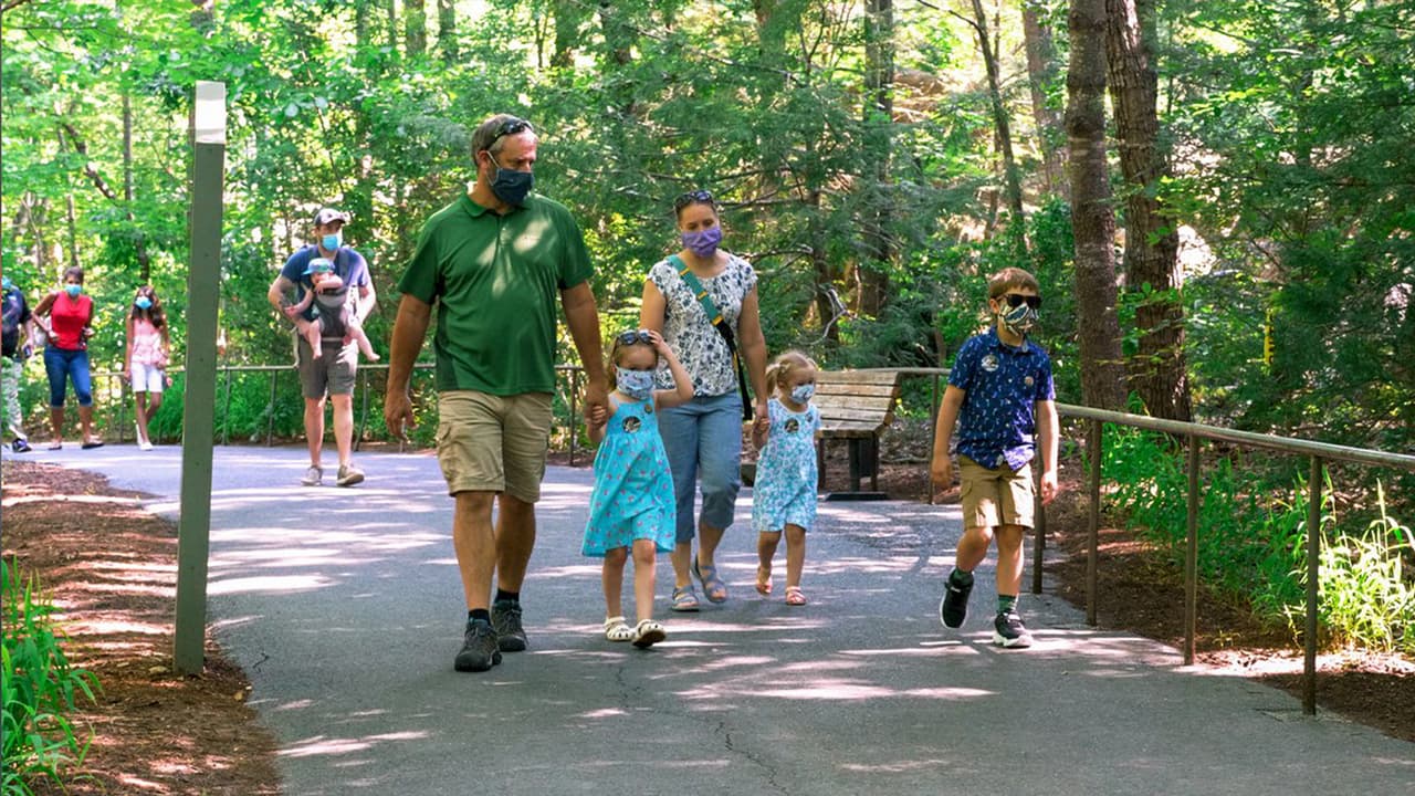 Zoológico de Carolina del Norte reabre sus puertas tras cerrar por más de tres meses