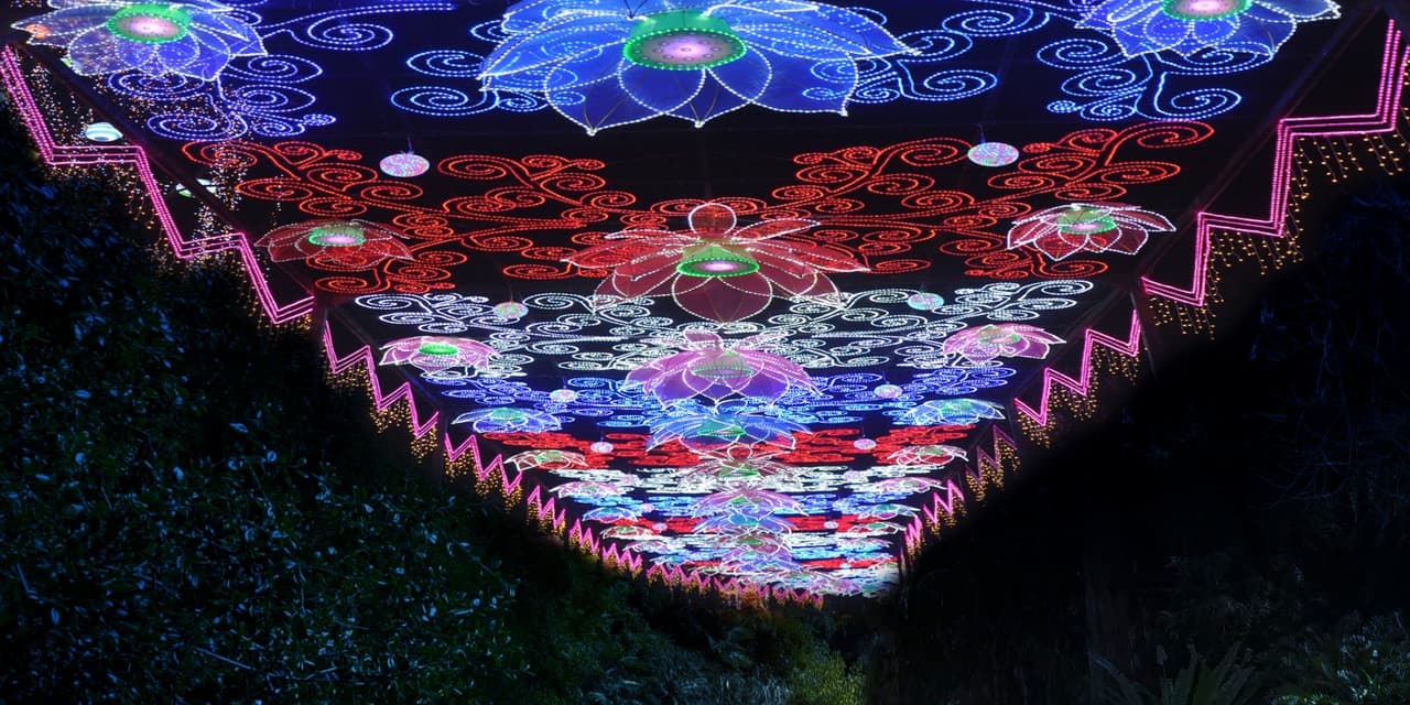 Además de sus ya populares pasillo lumínicos con cientos de miles de luces milticolores.