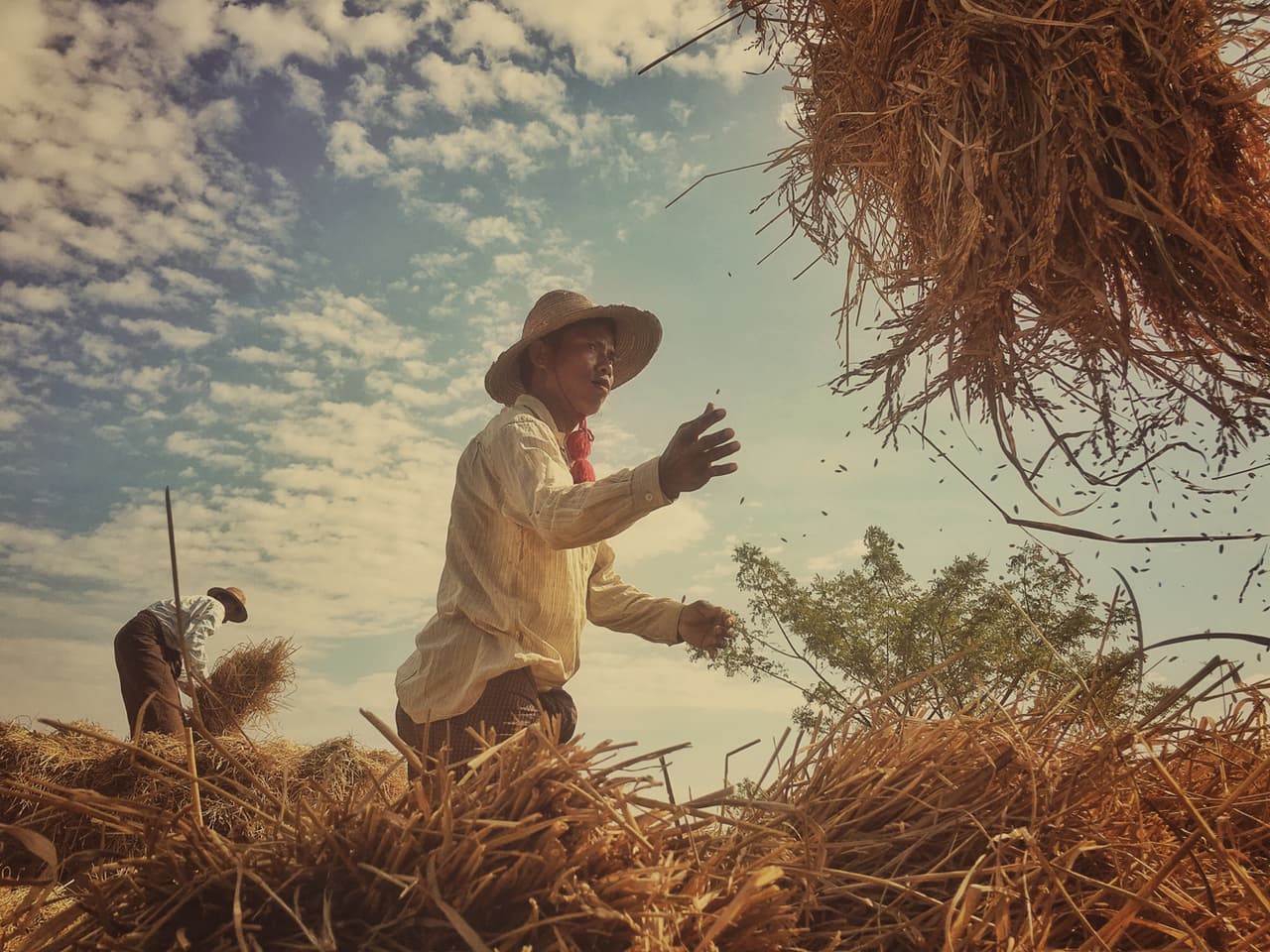 Scott Woodward, de Singapur, obtuvo el segundo lugar.