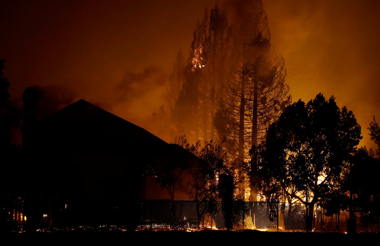 Autoridades creen que los incendios comenzaron la noche del domingo a lo largo de la autopista 128 en el condado de Napa y han continuado avanzando hacia la ciudad de Santa Rosa.