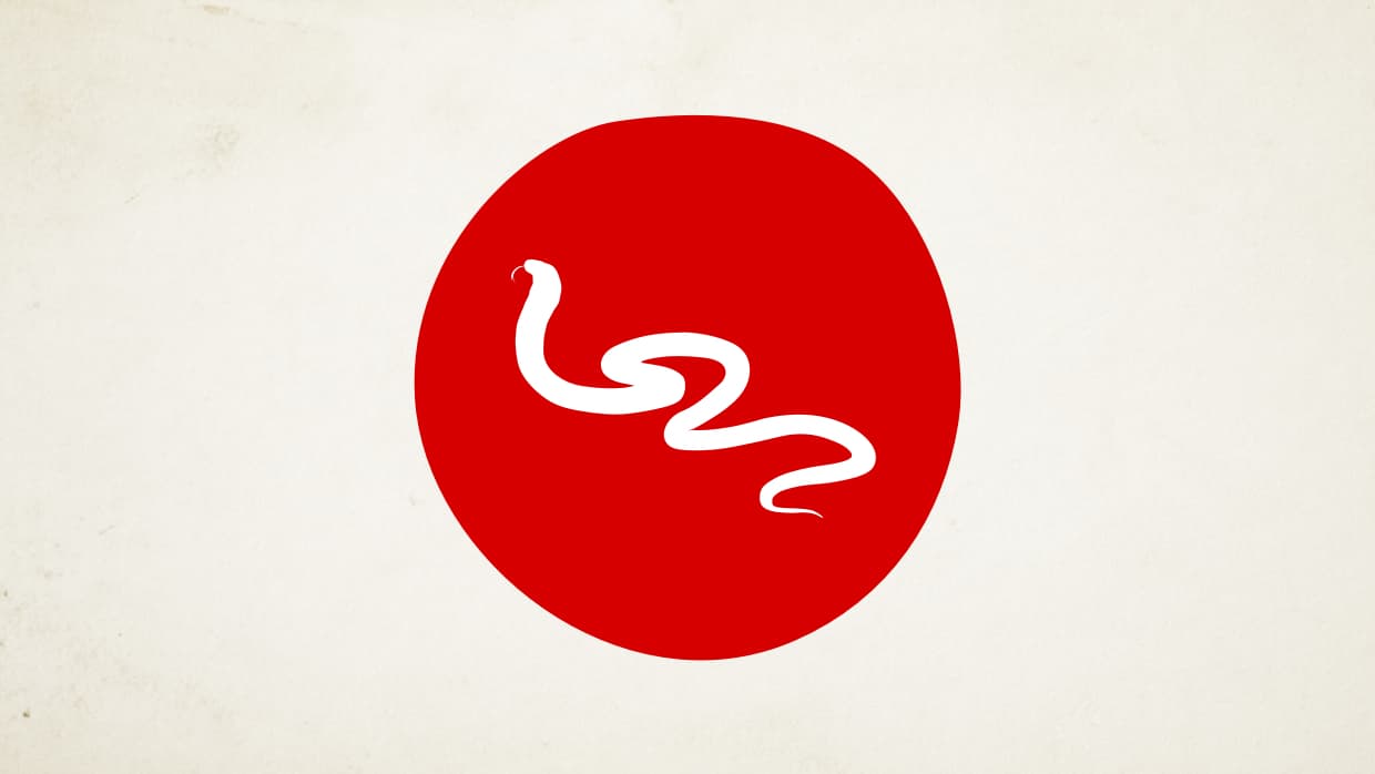 <b>La Serpiente en el Año del Gallo de Fuego (Los nacidos en 1941, 1953, 1965, 1977, 1989, 2001, 2013)</b>
<br>
<b>Éxitos en el amor en tu vida económica</b>
<br>La combinación planetaria presente en tu horóscopo chino augura un año exitoso en el trabajo. Tus ideas son adecuadas y las puedes poner en práctica sin muchas contrariedades. Estás en un buen momento para solicitar aumentos de sueldo o promociones. Transitas el camino para invertir mejor tu dinero, hacer lo que debes para aumentar tus ganancias y alcanzar tus ideales. Hay un factor suerte en el azar el cual podría representar un ingreso extra inesperado en el momento preciso. Es tiempo de encuentros exitosos con personas maravillosas.
<br>