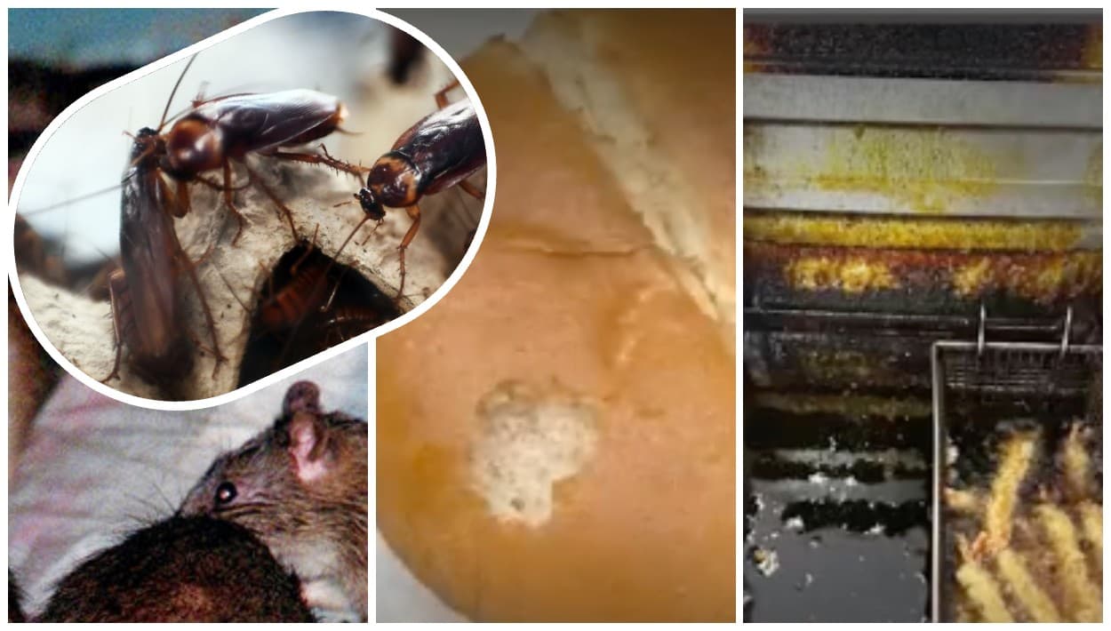 Ratas y cucarachas en restaurantes de comida rápida en California: ¿qué dicen los trabajadores?