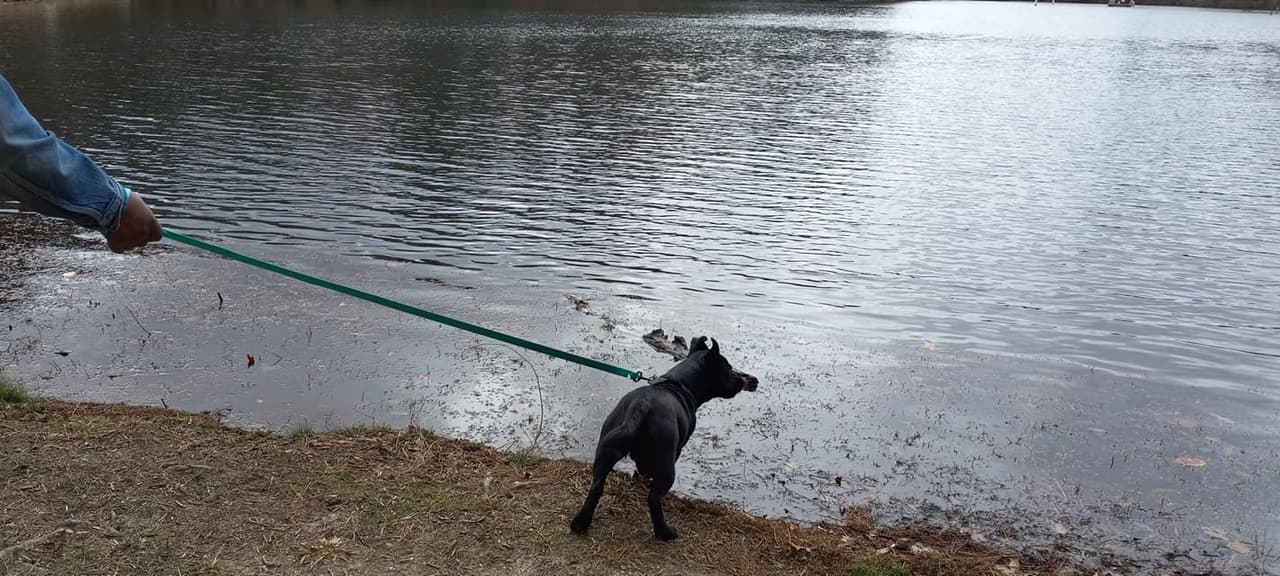 Completan el paisaje las áreas de restauración de pinos de hoja larga y los arroyos que alguna vez se utilizaron para producir alcohol ilegal y harina de maíz y que ahora ofrecen tranquilos lugares para pescar. Un lago de 11 acres complementa el río al brindar oportunidades para la recreación acuática para ti y tus amigos de cuatro patas.