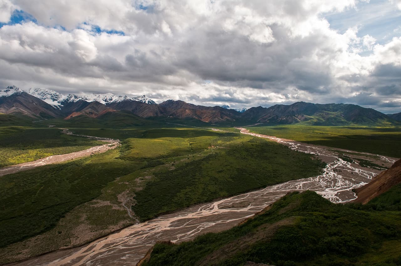 Desde la década de 1950, Alaska se ha recalentado el doble de rápido que el resto de Estados Unidos, y el paisaje del Parque Nacional y Reserva de Denali que allí se encuentra sigue ese ritmo. A medida que continúa calentándose y la frecuencia de las nieves de verano disminuye, 40 especies de aves podrían mudarse hacia allí durante el verano.