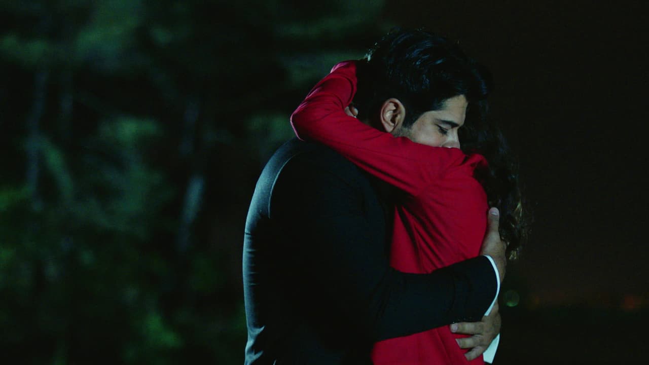 Después de todo el sufrimiento por el que han pasado, Nihan y Kemal están a un solo paso de hacer su sueño realidad.