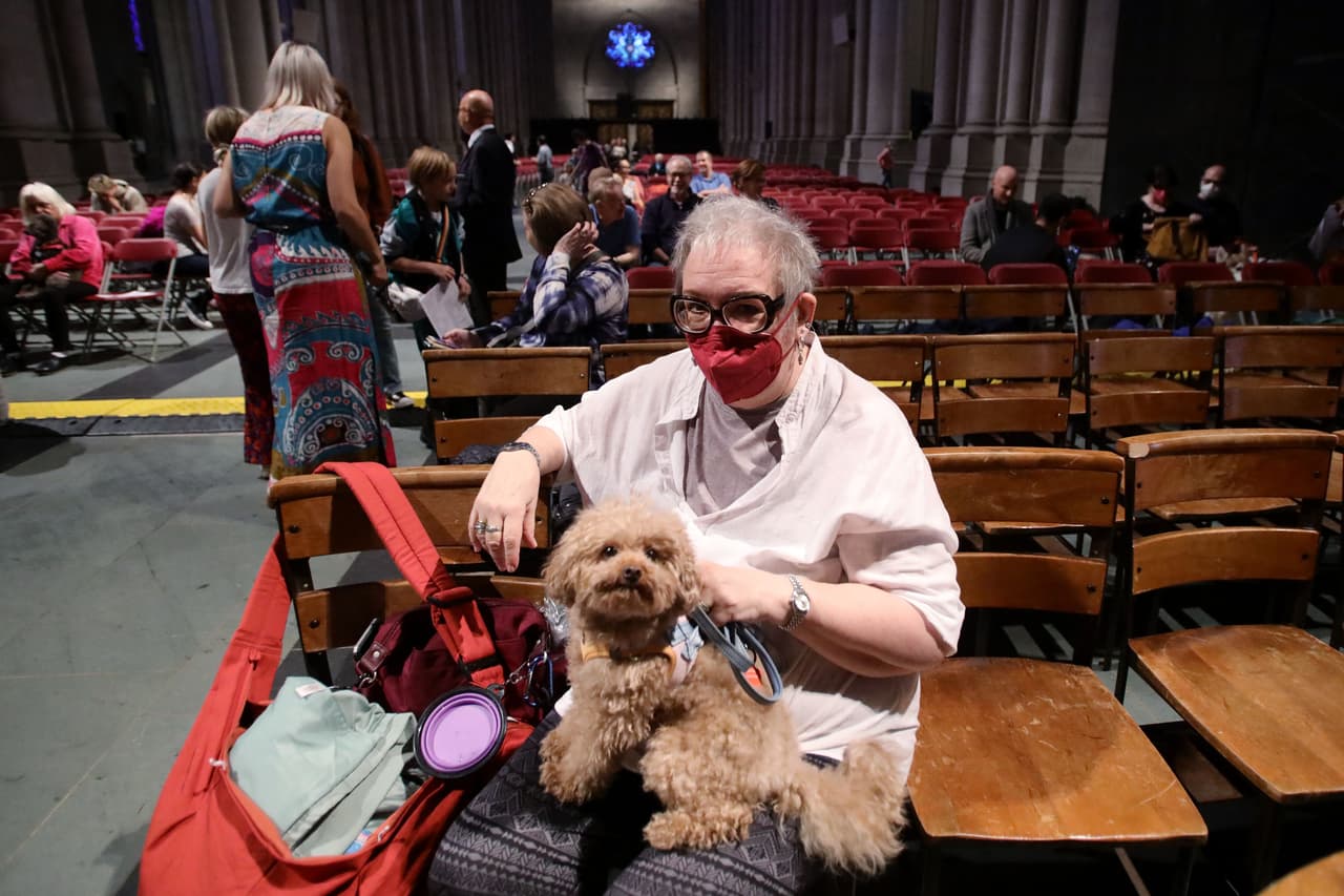 Las mascotas son considerados por muchas personas como parte de la familia.