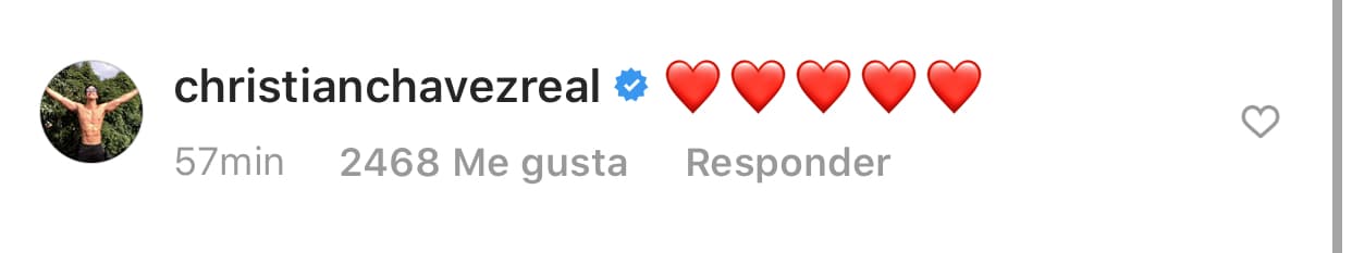 Christian Chávez, excompañero de Anahí en RBD, también le dejó varios corazones.