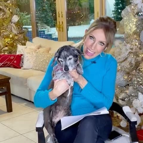 ¡No cabe duda que son dos perritos muy afortunados!