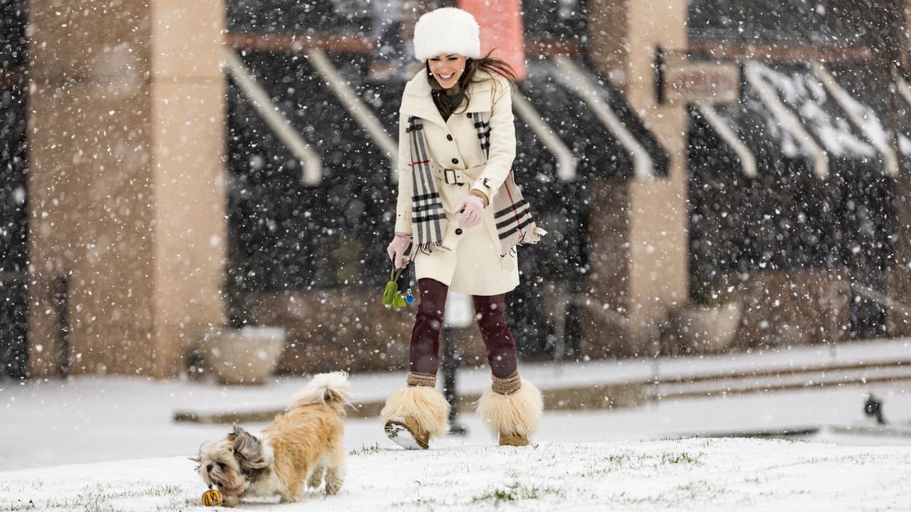 Misty Huckabey sale con su perro, Buddha, a jugar a buscarlo en The Shops at Park Lane, el jueves 3 de febrero de 2022, en Dallas.