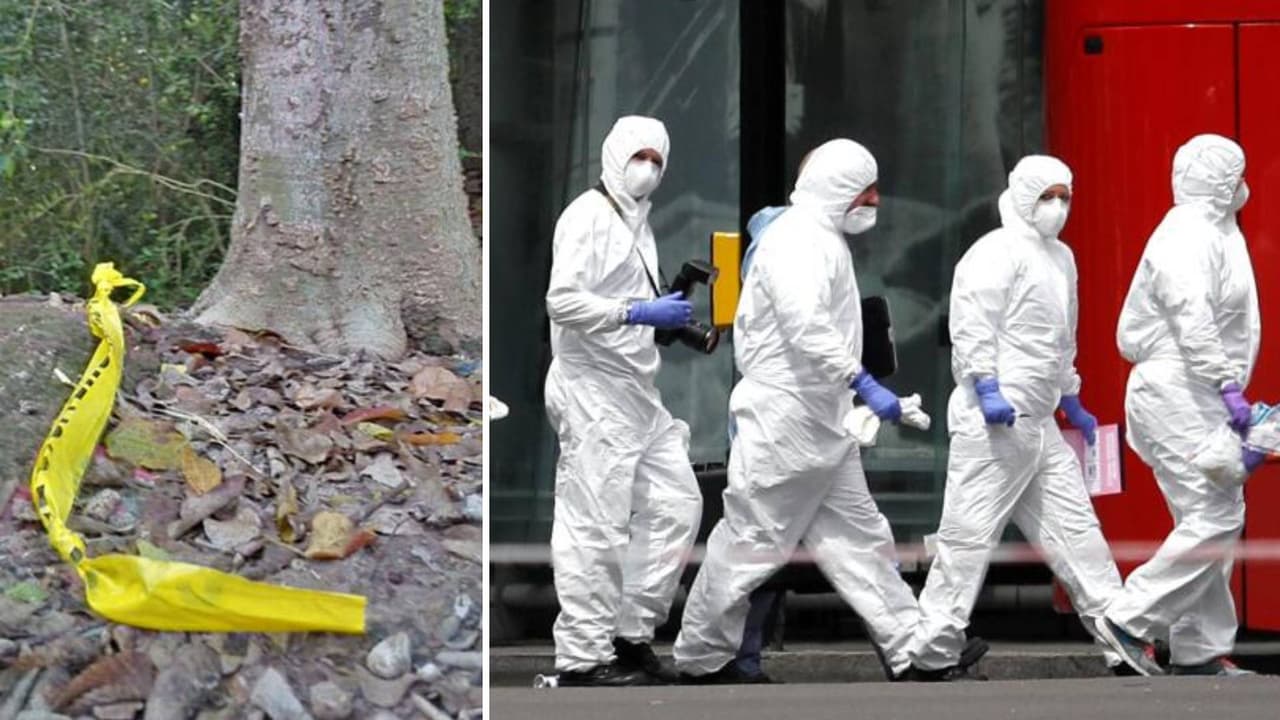 Hallazgo de restos humanos en Foresthill genera nerviosismo en la comunidad