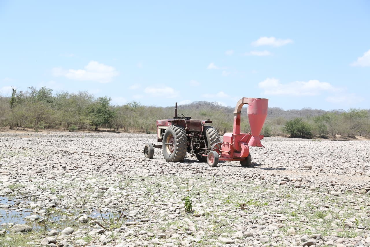 La agricultura es una de las actividades principales del pueblo, aunque se realiza de forma temporal.