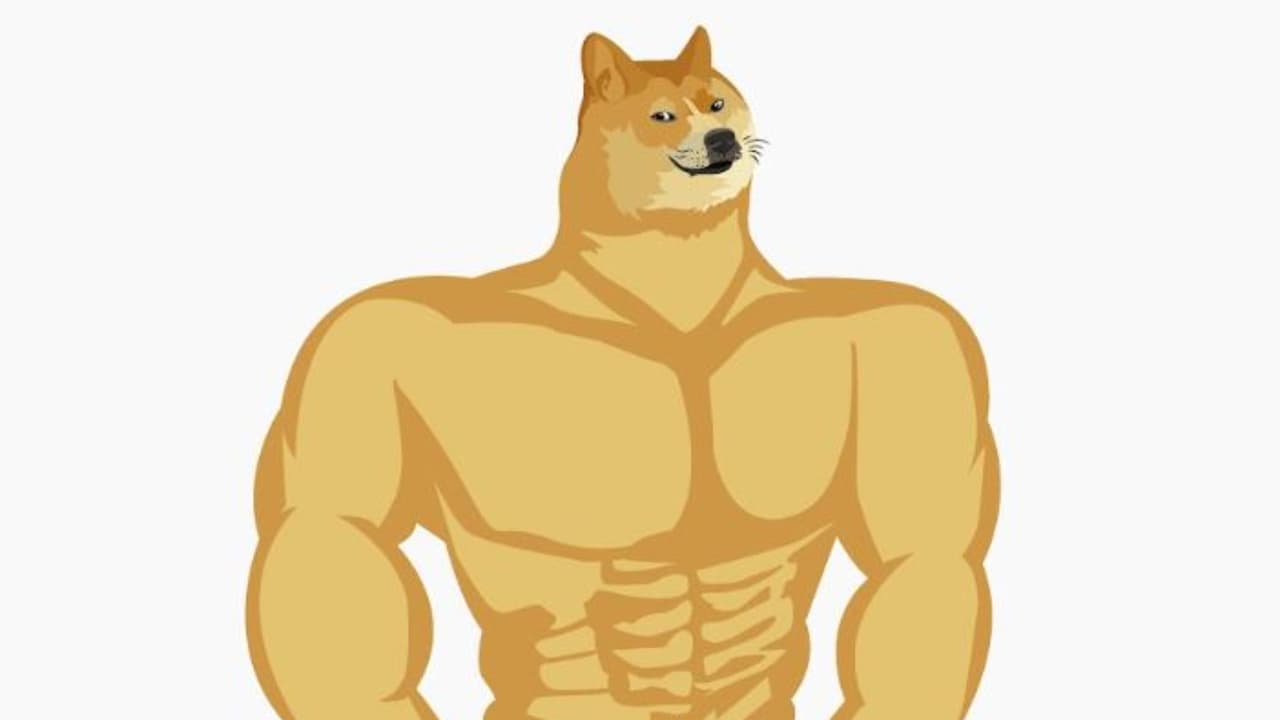 Pero no lleves a tu perro