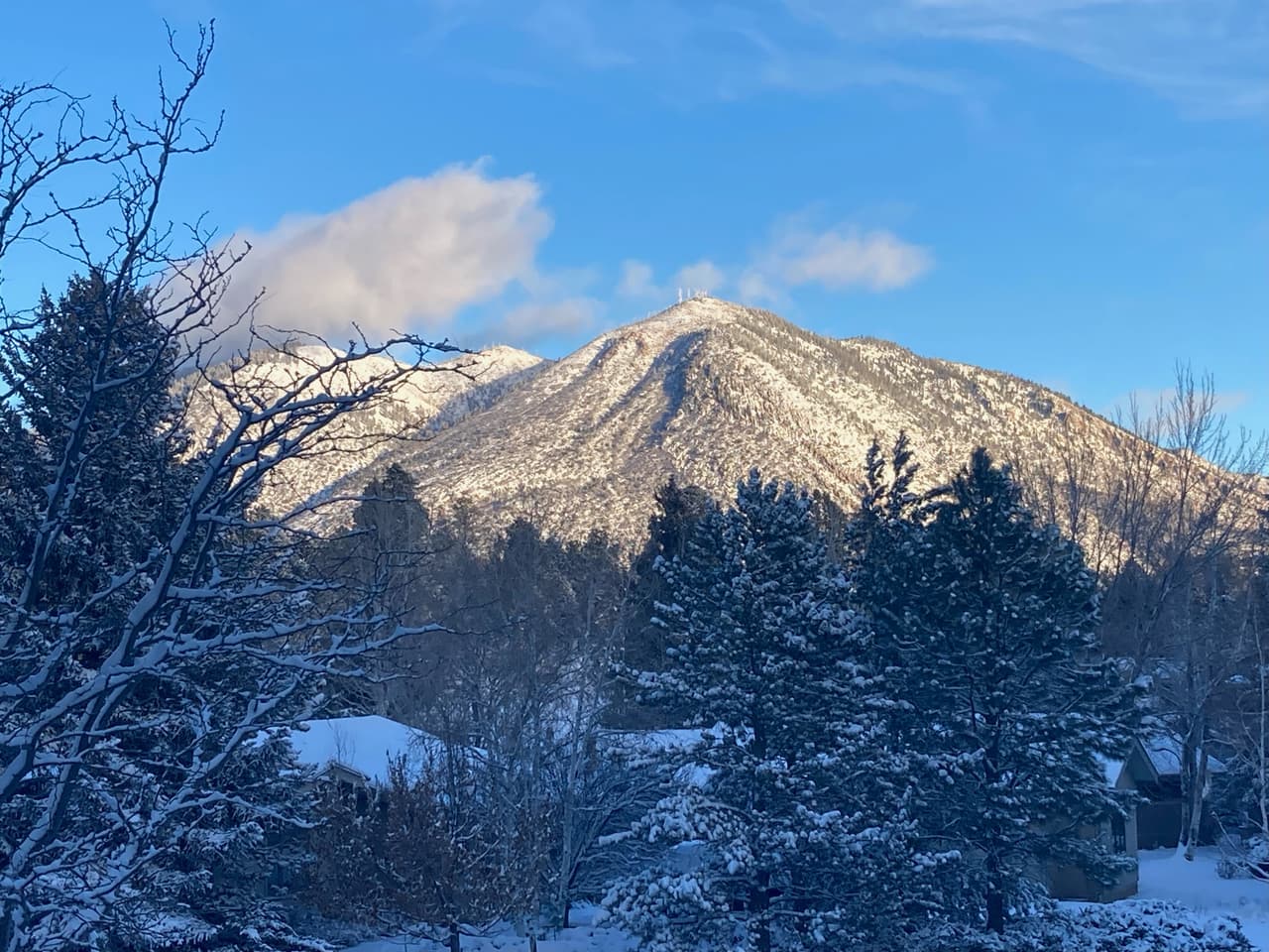 Se siente la Navidad en el norte de Arizona luego de una intensa nevada.