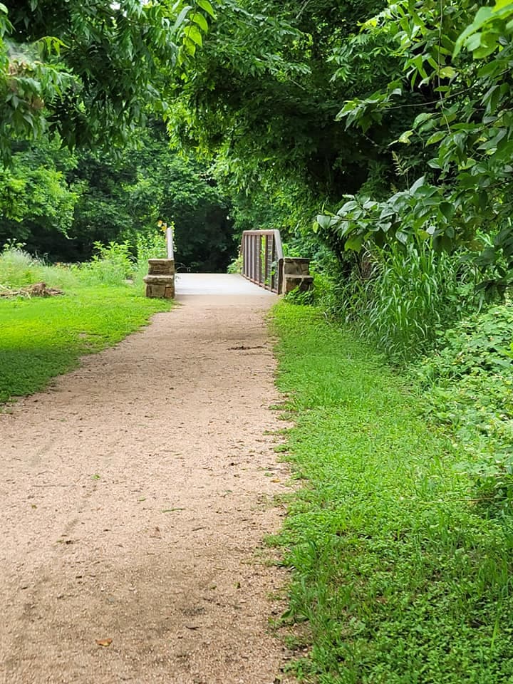 El parque también cuenta pabellones de pícnic cubiertos, que sirven como excelentes lugares de reunión para reuniones familiares a un costo por día.