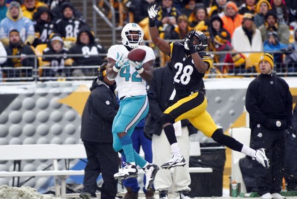 Los fanáticos de los Dolphins ya no hablan de la controversia Incognito/Martin, ni si Ireland o Philbin estarán con el equipo en el 2014, sino que pasan horas calculando… ¡porque tenemos chance de ir a los playoffs! Al principio de la temporada, y sobre todo, después de perder -casi deshonrosamente- contra Tampa Bay y Buffalo, los comentarios sobre Miami eran negativos. Qué si las novatadas, qué si Tannenhill, qué si el running game, qué si la línea ofensiva, que si… qué se yo… Pero ahora, las cosas han cambiado y solo se mencionan las posibilidades que tenemos de jugar en enero. ¡Ay, bendito! Bueno, después de este encontronazo con los portadores de las terribles toallas amarillas, donde salimos vencedores … por media pulgada… 34-28, ya todo me parece posible. Arriba Tannenhill (20 de 33, para 200 yds); arriba Wake and Odrich; arriba Thomas (105 yds, un TD en 16 acarreos); arriba Clay con sus dos TD y arriba Philbin, que mantiene el invicto en la revisión de las jugadas (obtuvo el cambio de “incomplete pass” a TD de Hartline). ¡Arriba, Dolphins, seguimos cuesta arriba!