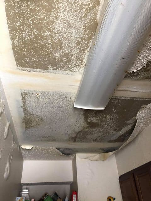 La dueña afirma que todos sus pertenencias fueron perdida total.