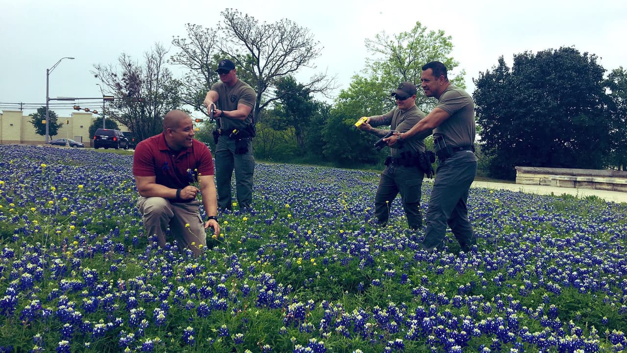 "Cuando intentas agarrar la flor del estado de Texas en Wilco, ¿qué sucede? Llaman al equipo SWAT y podrías recibir una descarga. Bromeaba, solo tenemos que hacer una foto genial. (No dañamos flores al tomar esta foto)", 
<a href="https://twitter.com/SheriffChody/status/1114245883607101441" target="_blank">escribieron</a> estos agentes del sheriff del condado Williamson.