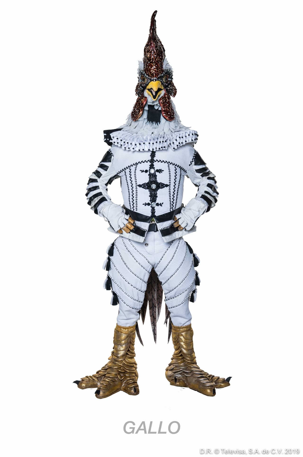 El segundo eliminado del primer show fue Gallo.