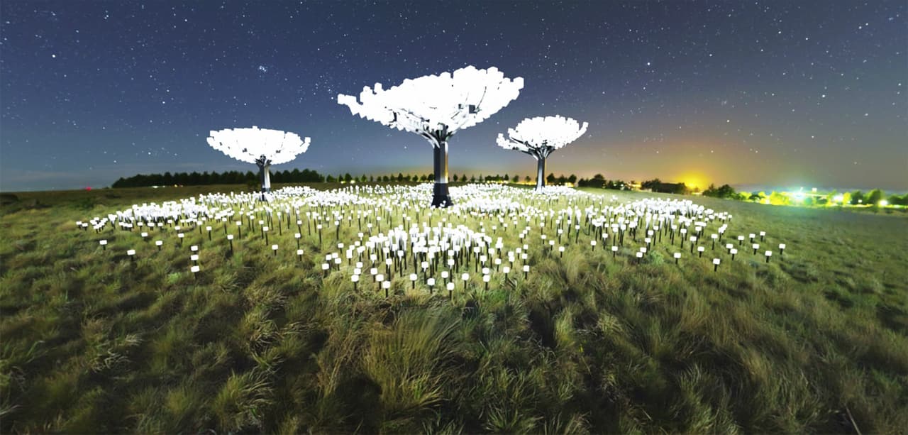 Unas 2,000 luces LED serán incrustadas en árboles y arbustos de distintos tamaños, creando una experiencia similar a estar en el "país de las maravillas" para todos los visitantes.