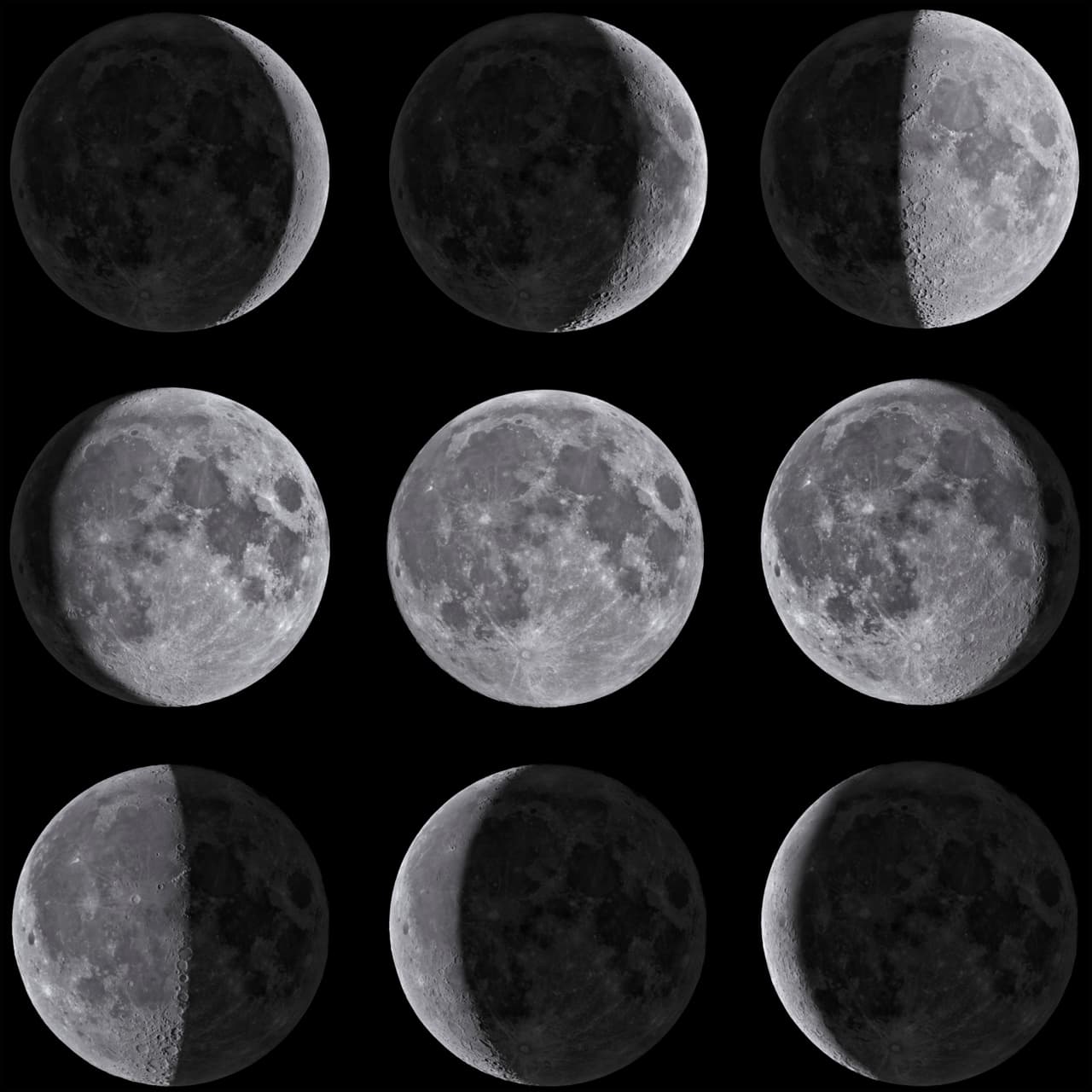 La fase creciente que va desde la Luna nueva (que también suelen llamarle Luna negra porque no podemos verla como en el plenilunio, pero no significa nada negativo) a la Luna llena, pasando por el cuarto creciente, se considera propicio para sembrar y repicar las plantas cuyas partes comestibles están por encima de la tierra, es ideal para los agricultores que lo aplican siguiendo el calendario lunar. Por: Profesor Zellagro.