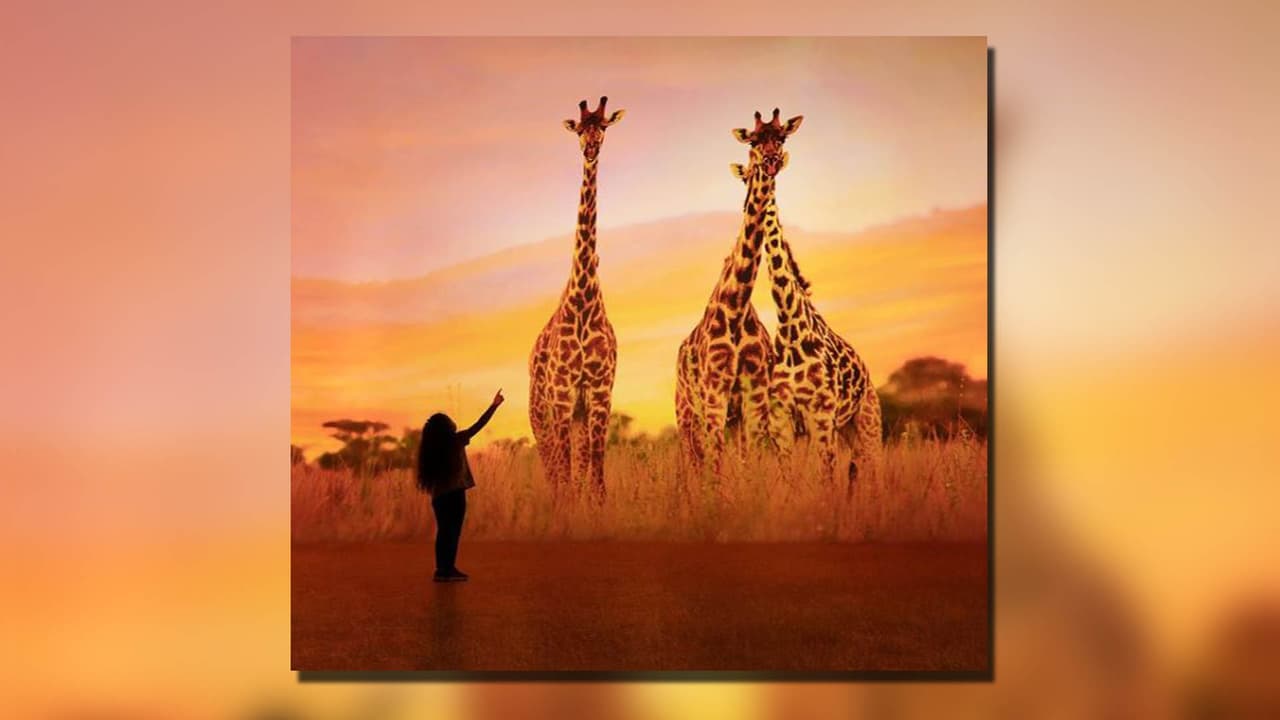 Esto se logra mediante el uso de tecnología de punta, que incluye proyección interactiva y receptiva de alta resolución, audio inmersivo en 3D, vibraciones en el piso y aromas, según sus promotores.